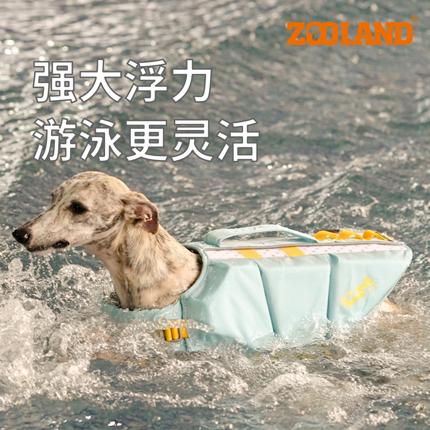 zooland域揽狗狗衣服泳衣救生衣图片
