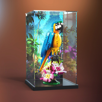 31136异域鹦鹉模型展示盒