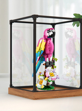 合金边框收纳盒适用乐高31144粉色异域鹦鹉积木高清亚克力展示盒