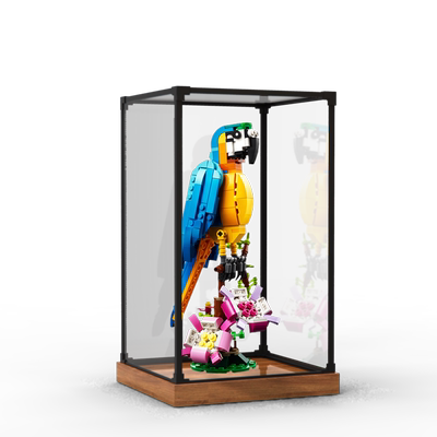 31136异域鹦鹉模型展示盒
