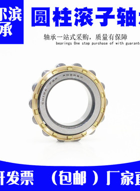 哈尔滨圆柱滚子轴承RN 304 305 306 307 308 309 310 311 M