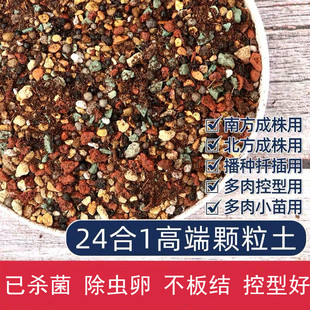 多肉专用营养土多元土多肉土铺面石颗粒粗河沙猫小姐黄金软麦饭石