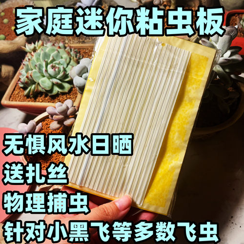 家用园艺粘虫板双面胶