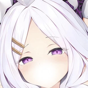 茶会 空崎ヒナ日奈　Loli等身抱枕套