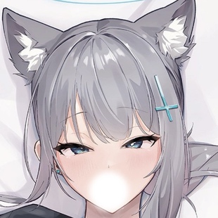 C103 碧蓝档案 砂狼白子 毛版 动漫等身抱枕套