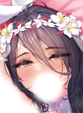 C103 ogre新作 聖処理シスター 二次元等身抱枕套