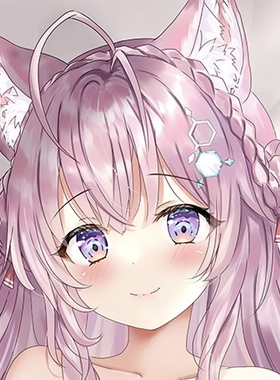 HololiveVTuber 虚拟主播 博衣小夜璃博衣こより 动漫等身抱枕套