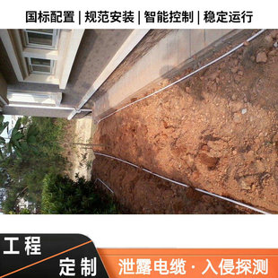 泄露电缆入侵探测系统全套【工厂直发】园区工厂小区库房防盗报警