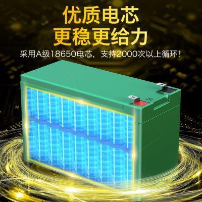 德力普12v电动喷雾器锂电池组大容量农用打药机音响童车门禁电瓶