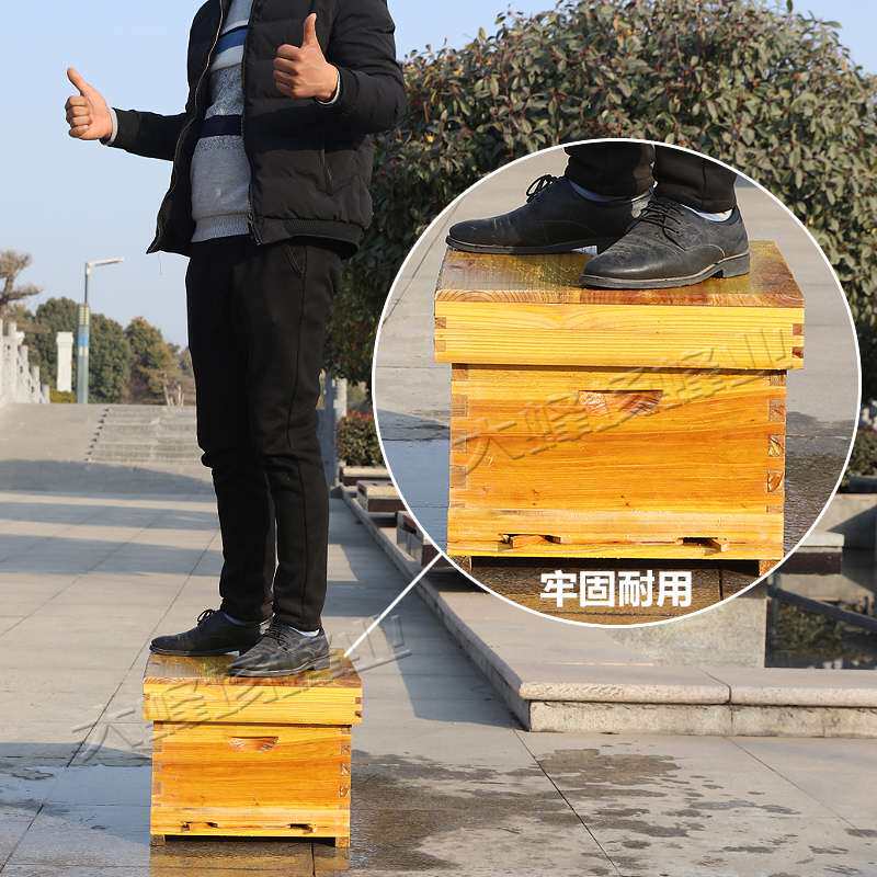 honeybee hive full set Beekeeping Tools Dedicated Hive Chinese fir Bee standard Hivein the Traditional nourishing food , Bee , Other bee  category - from Buy2taobao.com to provide professional Taobao agent buy service