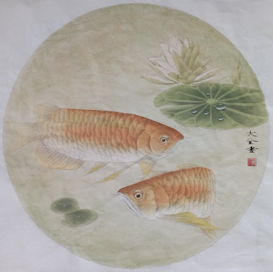 工笔画底稿工笔金龙鱼白描20#打印稿宣纸稿有步骤图 文字