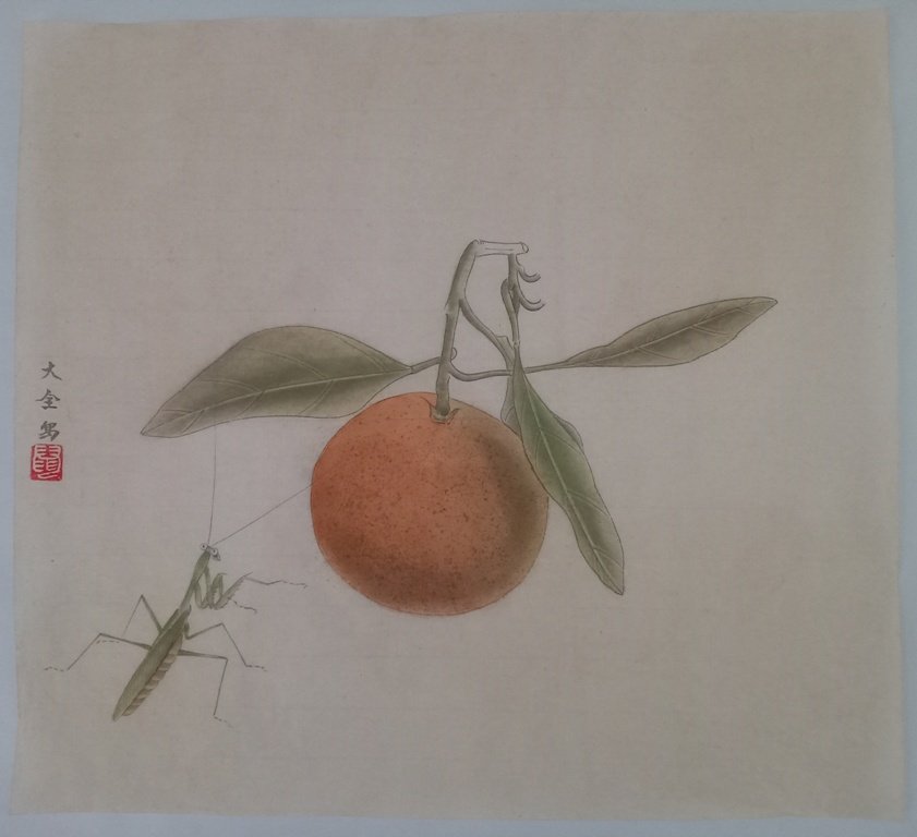 工笔画底稿写生桔子螳螂草虫练习白描打印稿宣纸稿有步骤图文字