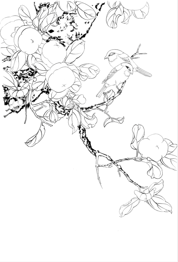 工笔画底稿 工笔柿子小鸟白描36#小品打印稿宣纸稿无彩色图