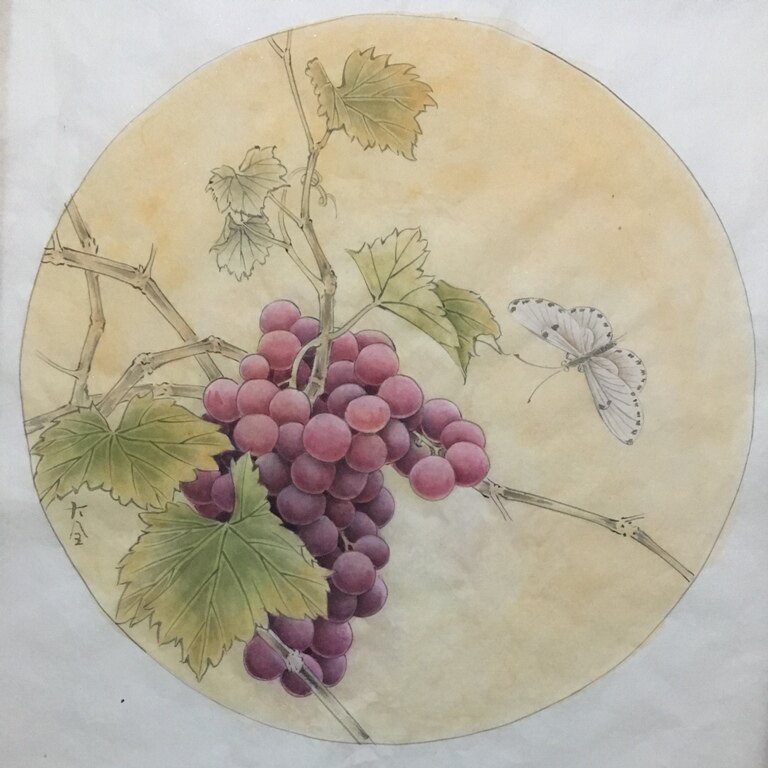 工笔画底稿葡萄蝴蝶团扇白描9#打印稿毛笔勾线宣纸稿有步骤图