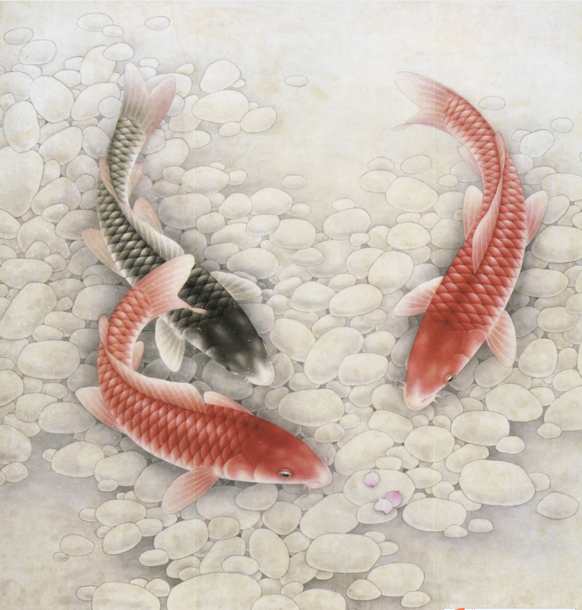 工笔画底稿 工笔鲤鱼斗方白描15#打印稿毛笔勾线宣纸稿