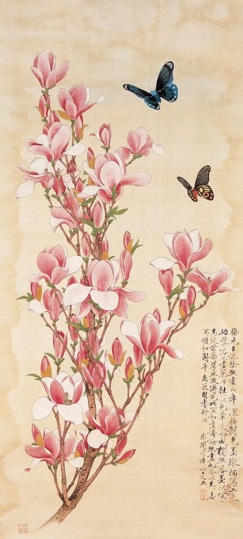 工笔画底稿 于非闇 蝴蝶玉兰竖副白描106#打印稿毛笔勾线宣纸稿