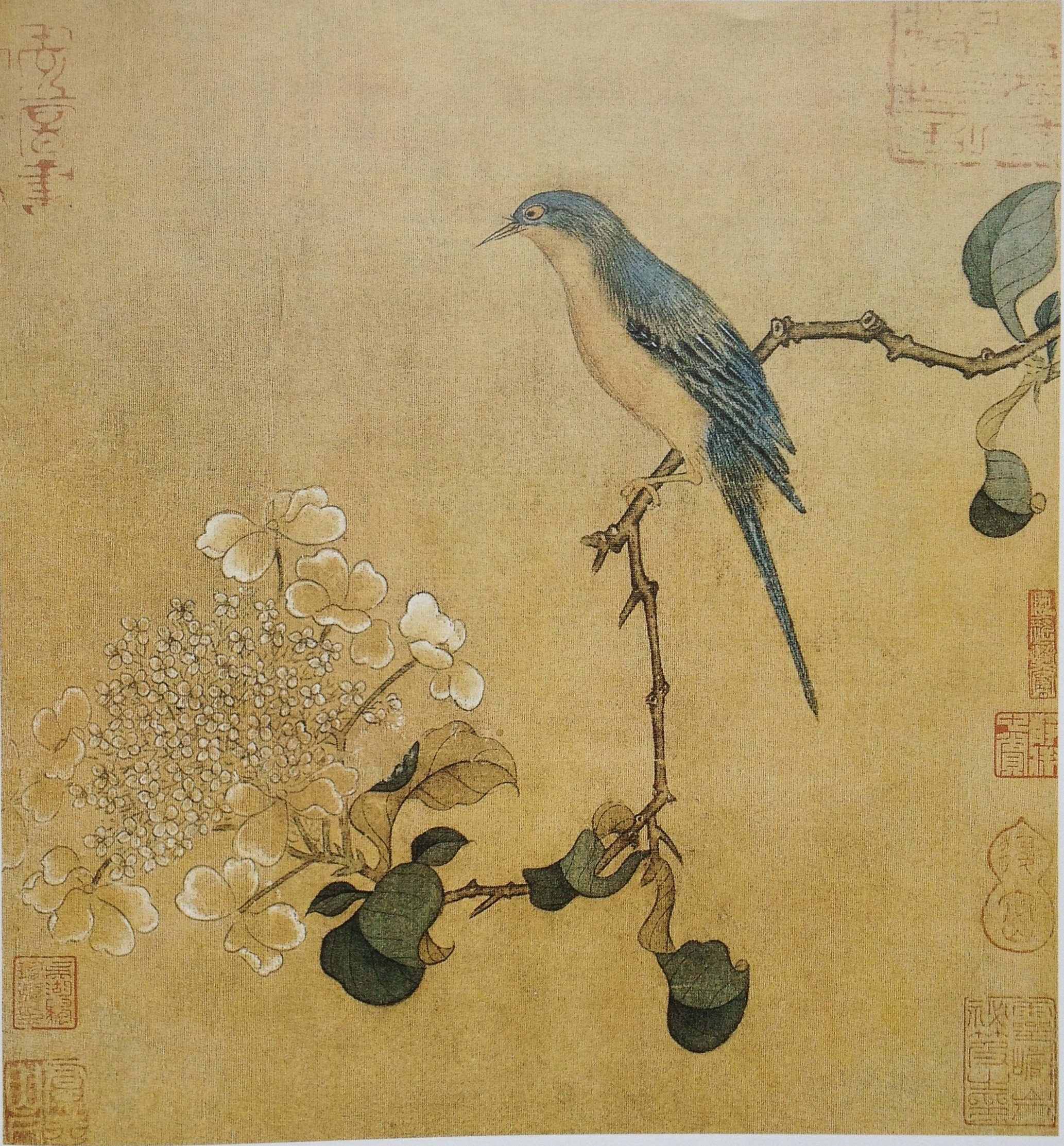 工笔画底稿 宋 琼花翠禽图白描50#打印稿宣纸稿有步骤图 文字