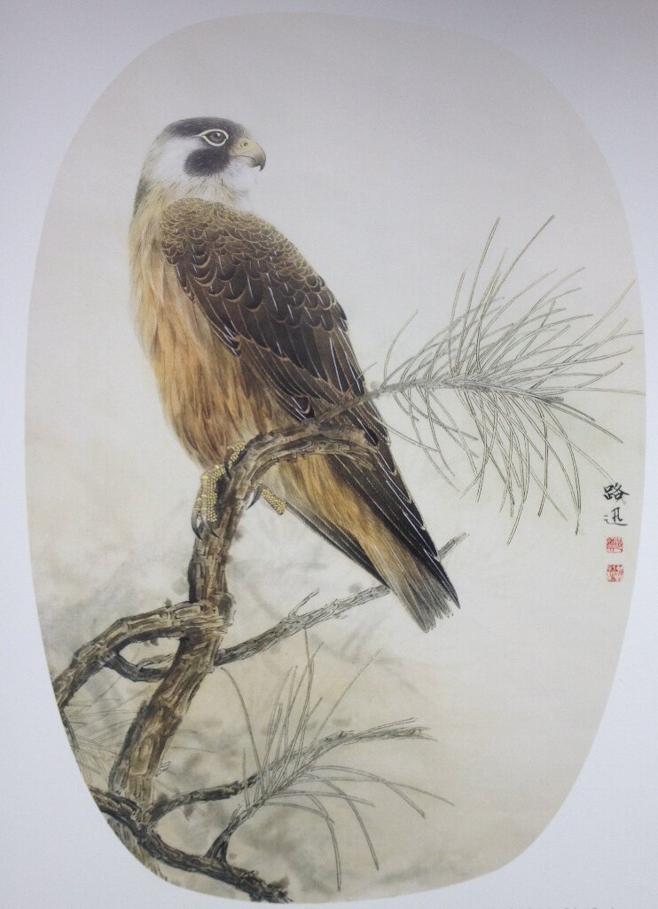 工笔画底稿鹰峭枝白描3#打印稿毛笔勾线宣纸稿有步骤图文字