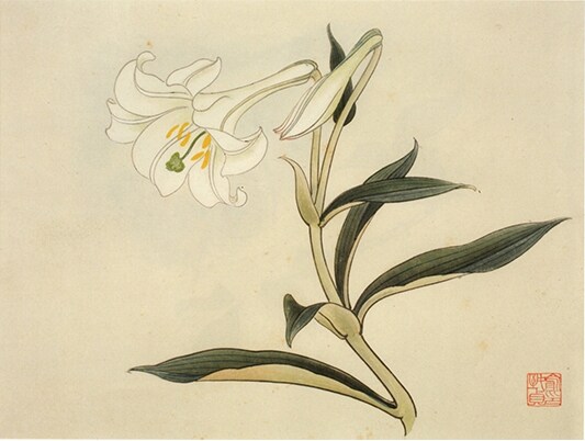 工笔画底稿 俞致贞百合花小品白描14#打印稿宣纸稿学习临摹