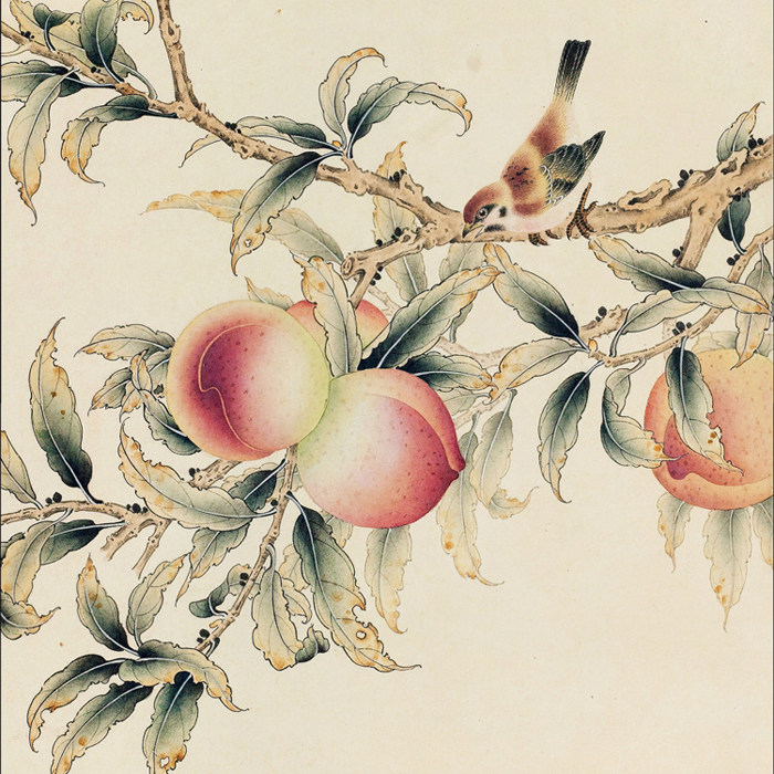 工笔画底稿 小品桃子小鸟斗方白描22# 打印稿宣纸稿学习临摹