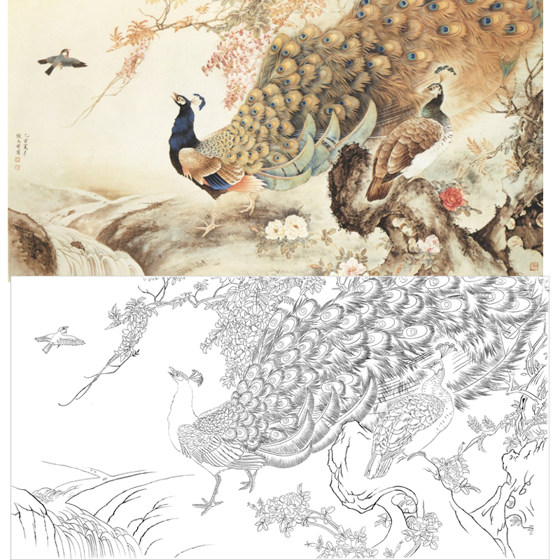 工笔画底稿 工笔4尺孔雀横幅白描打印稿宣纸稿学习临摹