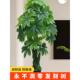彷真绿植发财树客厅装 饰招财盆栽摆设大型彷生植物落地花塑料假树