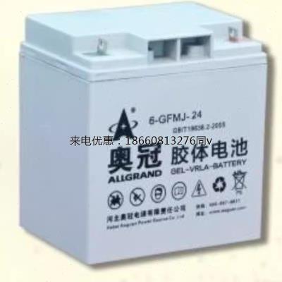 奥冠胶体蓄电池6-GFMJ-24 12V24AH光伏发电消防主机太阳能免维护