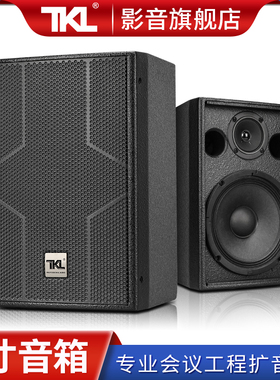 TKL H08会议音箱8寸全频吊装壁挂式家庭影院K歌学校教室无源音响