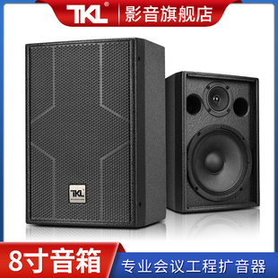 壁挂式 家庭影院K歌学校教室无源音响 H08会议音箱8寸全频吊装 TKL