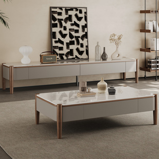 微晶石长方形茶几电视柜组合现代简约轻奢风设计师款 家用储物茶几