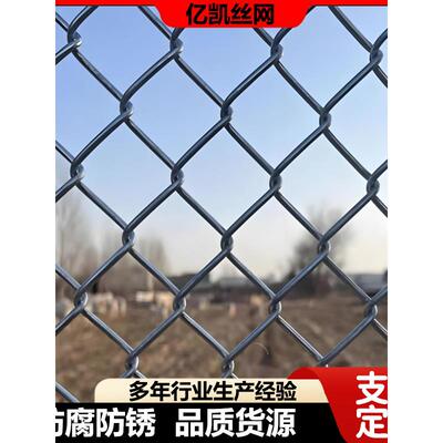 定制镀锌勾花网SNS柔性主被动边坡防护网 山体边坡绿化钢丝网厂家