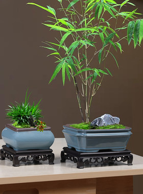 盆景哥窑透气花盆创意蝴蝶兰绿植