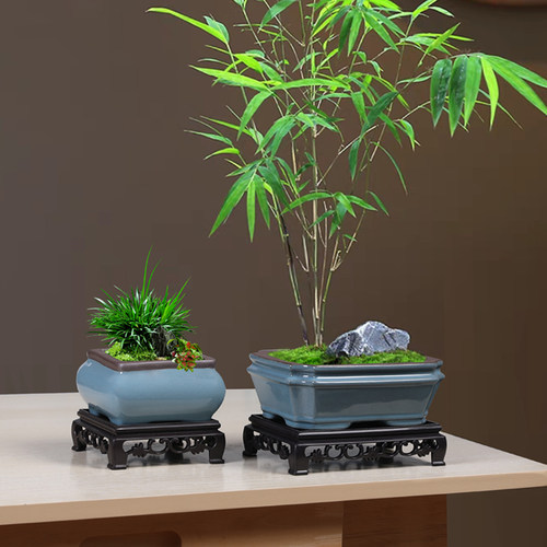 盆景哥窑透气花盆创意蝴蝶兰绿植