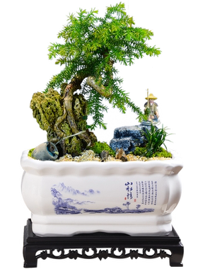 陶瓷长方形大号家用花盆