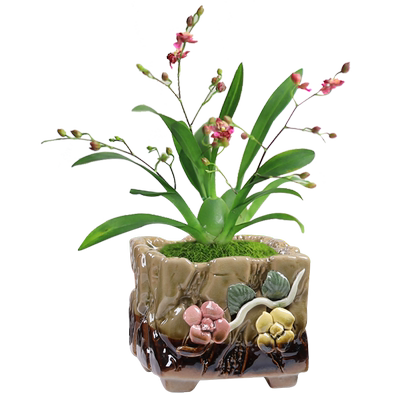 多肉粗陶个性手工捏花盆