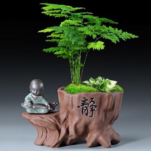 紫砂文竹客厅禅意小和尚复古花盆