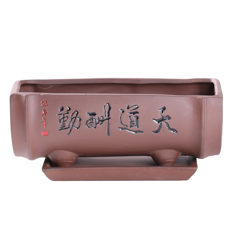 紫砂花盆陶瓷大号创意文竹菖蒲