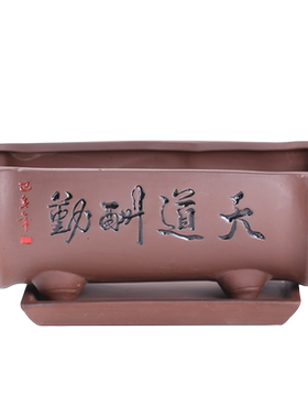紫砂花盆陶瓷大号创意文竹菖蒲