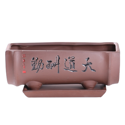 紫砂花盆陶瓷大号创意文竹菖蒲