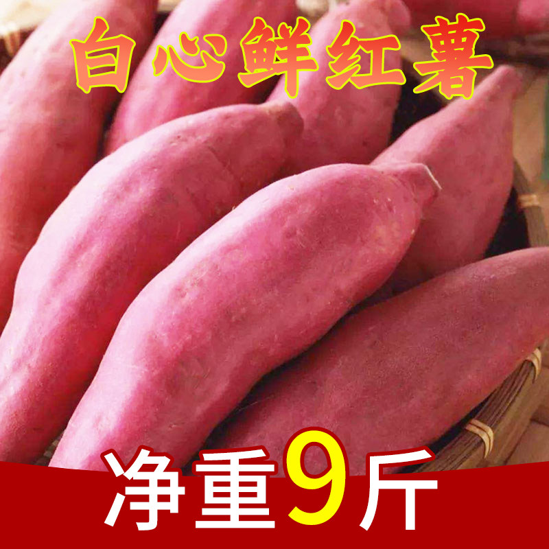 2020农家白心红薯新鲜带箱10斤正宗白薯地瓜板粟红薯地瓜番薯红苕