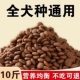狗粮全阶通用型5斤10斤20斤装 成犬幼犬泰迪拉布拉多金毛土狗家狗