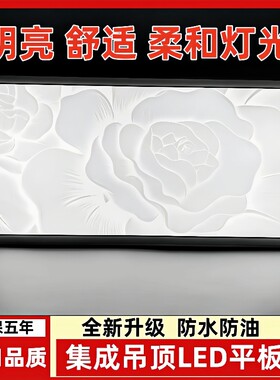 集成吊顶led灯厨房卫生间吸顶灯
