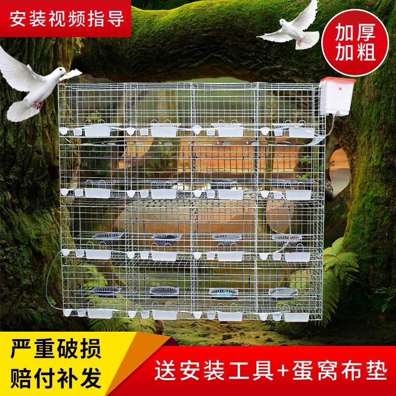 鸽子笼养殖笼鸽子用品用具鸽笼子加粗12位16位配对笼肉鸽繁殖笼