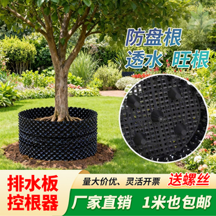 植物控根器屋顶花园楼顶阻根器植树围树园林绿化花卉移苗蓄排水板