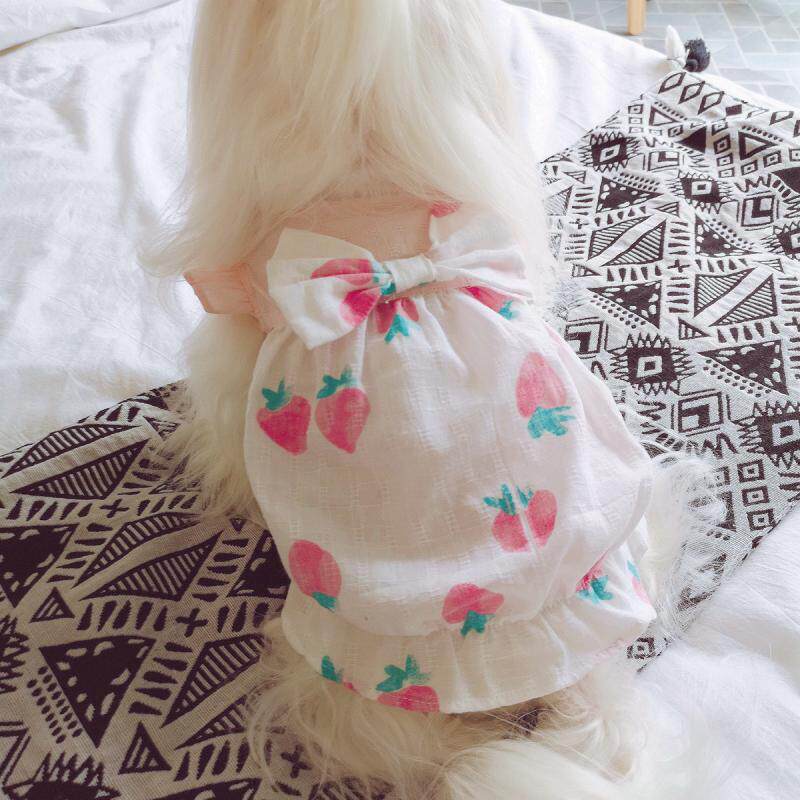 KZ Small sweet berry pure cotton Bud skirt Pet dog Kitty clothes Spring and summer Thin section Teddy Princess dressin the Pet/Pet food and supplies , Pet apparel and accessories , Pet clothing/Raincoat  category - from Buy2taobao.com to provide professional Taobao agent buy service