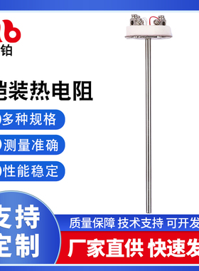 铠装热电阻芯 PT100装配式测温元件 工业铂电阻探头WZP