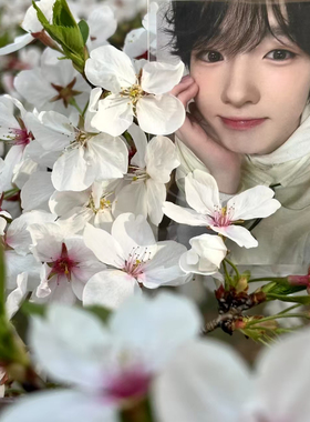 新款韩国男子演唱组合NCT高颜值sakuya自印拍立得三寸装饰小卡