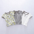 Mr. Time[Three-Pack]Short Sleeves