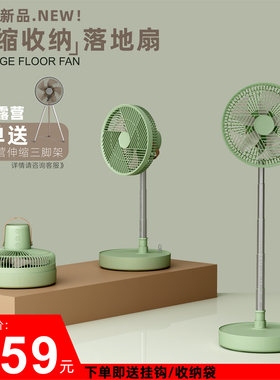 威拉斯伸缩收纳家用落地扇轻音遥控台地两用台扇摇头定时充电风扇