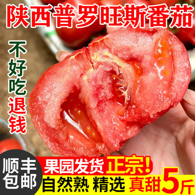 陕西水果沙瓤自然熟西红柿